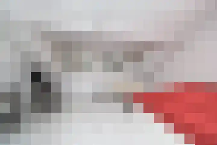 Krommenoord 20 Rotterdam thumbnail 23