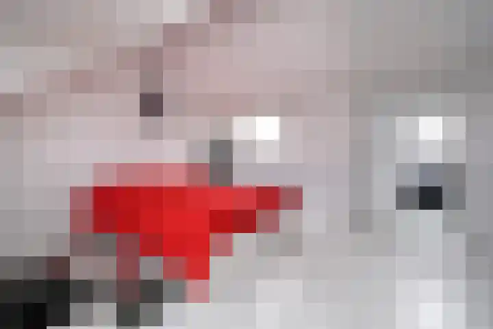 Krommenoord 20 Rotterdam thumbnail 25