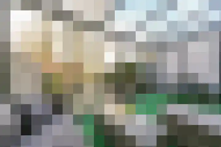 Krommenoord 20 Rotterdam thumbnail 28