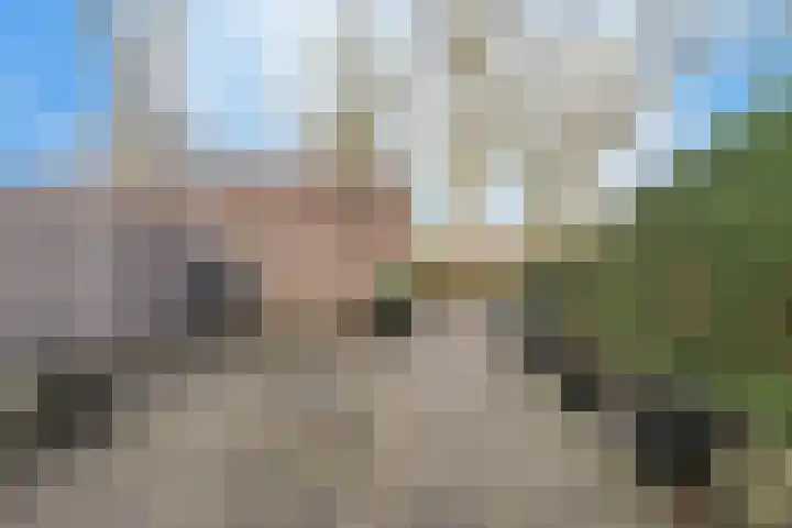 Krommenoord 20 Rotterdam thumbnail 29