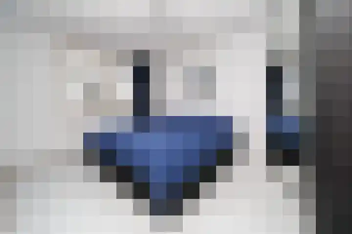 Krommenoord 20 Rotterdam thumbnail 4
