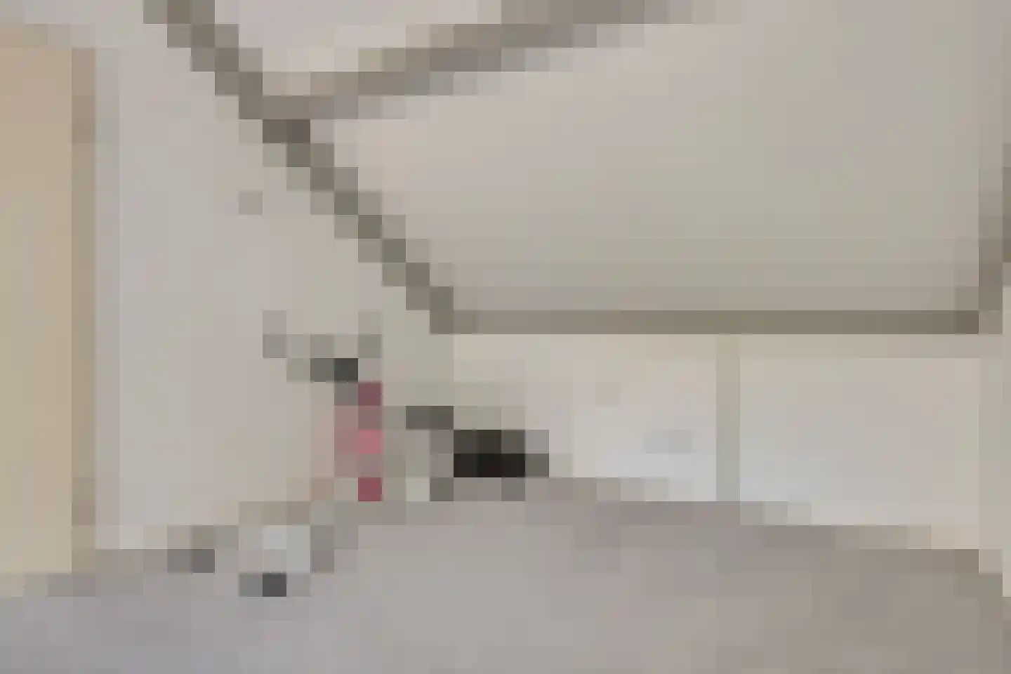 Krommenoord 6 Rotterdam thumbnail 21