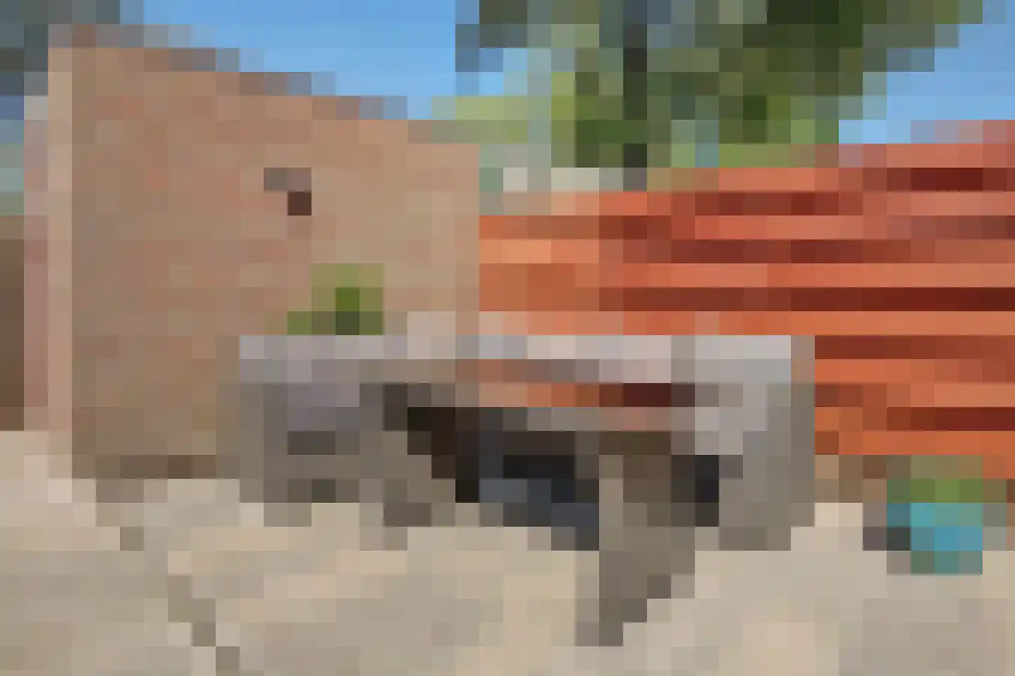 Krommenoord 6 Rotterdam thumbnail 23