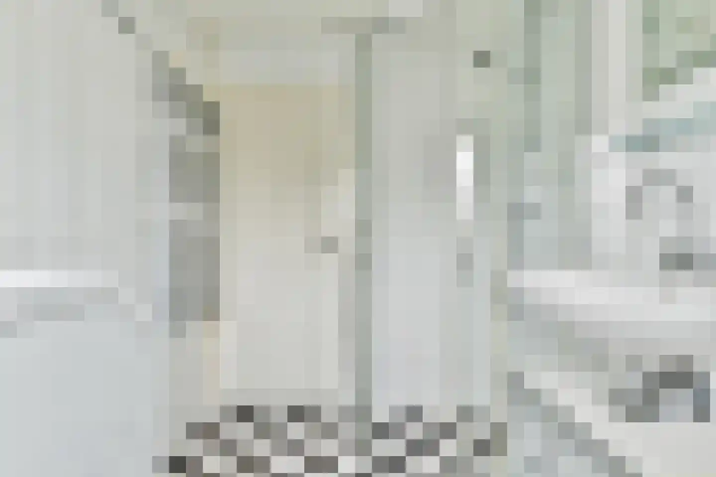 Krommepad 13 Laren thumbnail 17