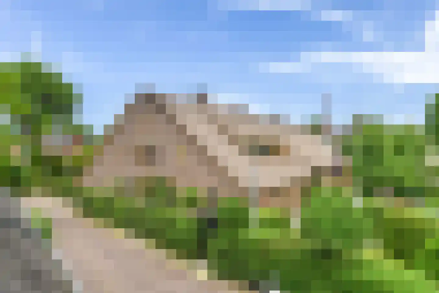 Krommepad 13 Laren thumbnail 19