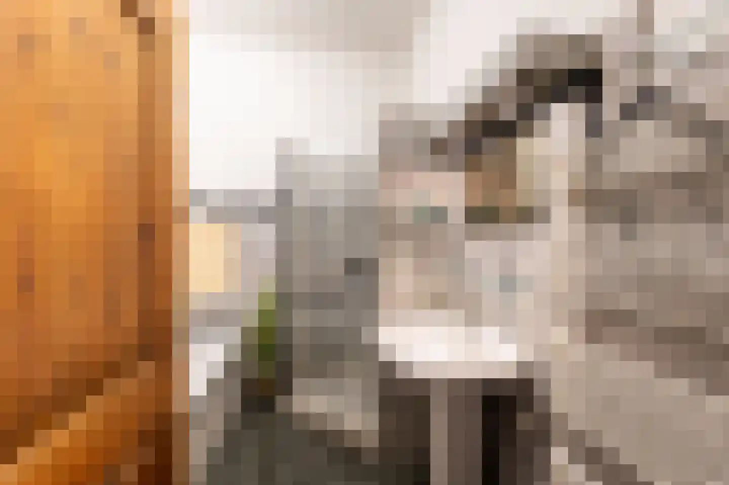 Krommepad 6 a Laren thumbnail 36
