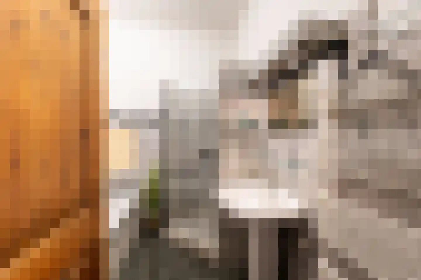 Krommepad 6 a Laren thumbnail 38