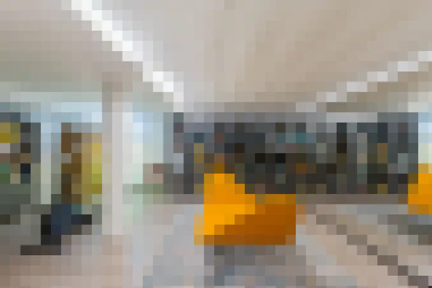 Krommepad 6 a Laren thumbnail 62