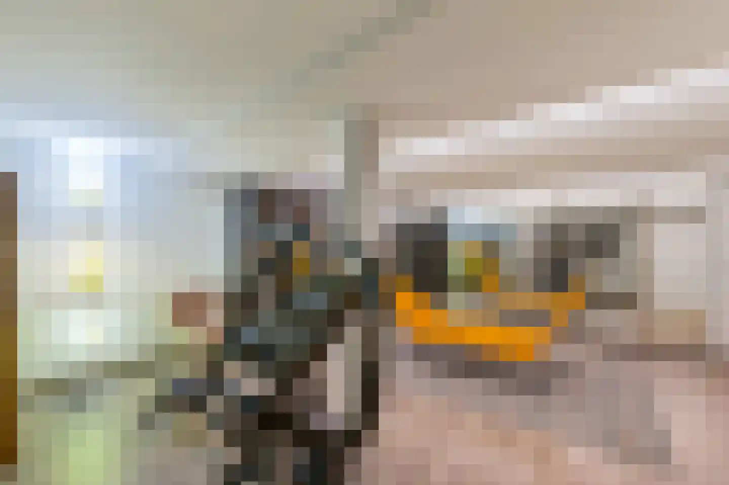 Krommepad 6 a Laren thumbnail 63