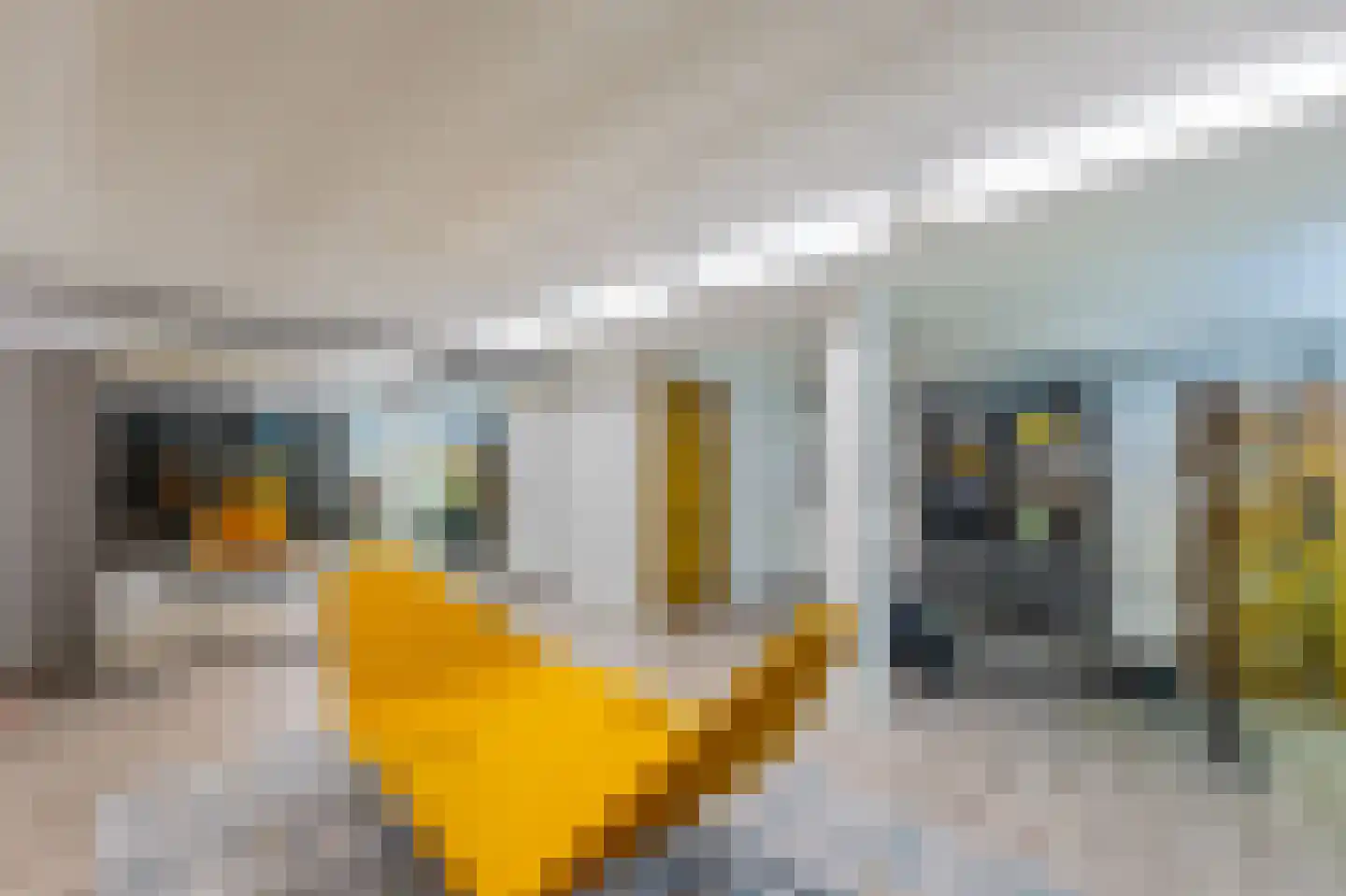 Krommepad 6 a Laren thumbnail 64