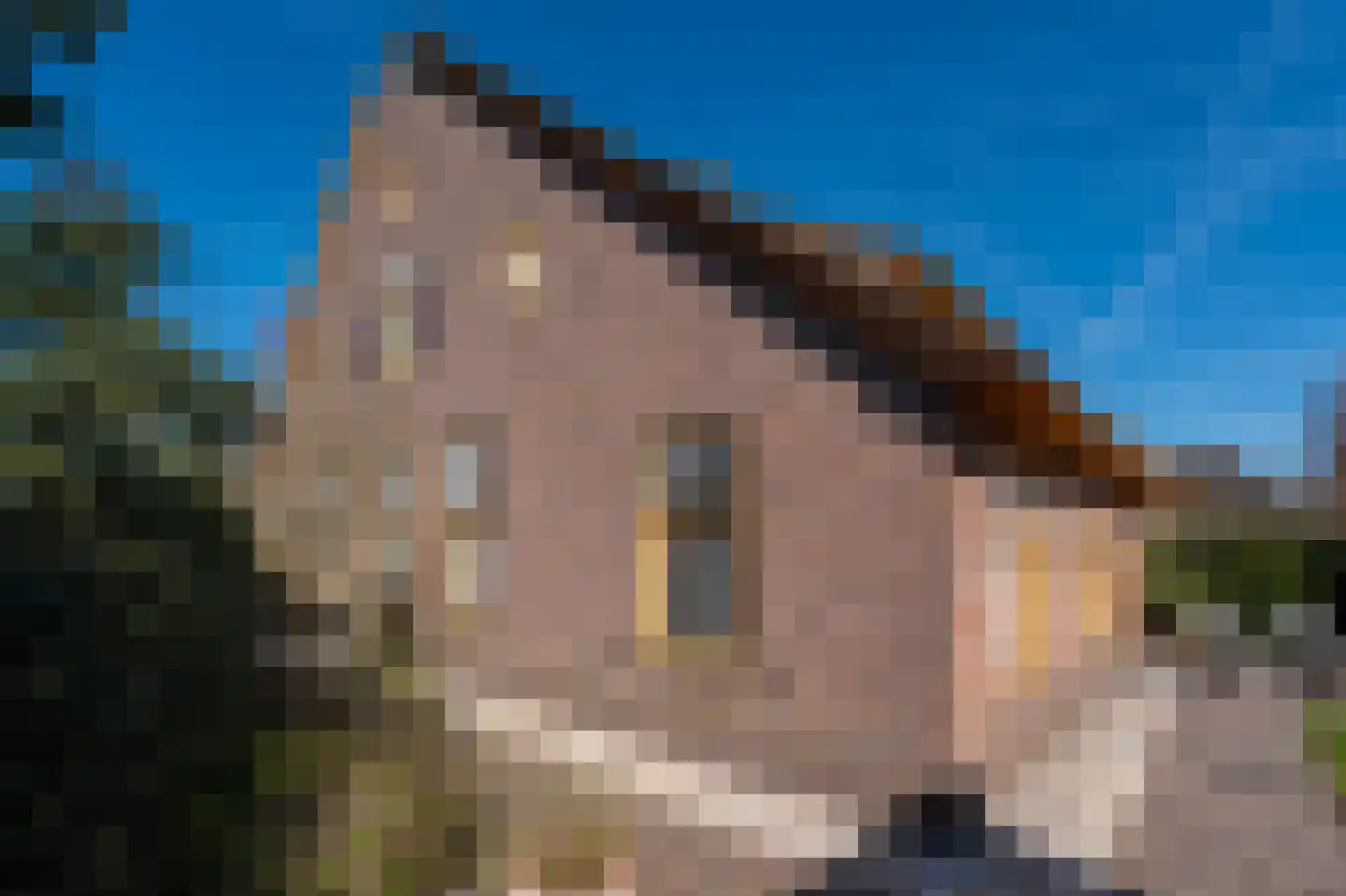 Krommepad 6 a Laren thumbnail 71