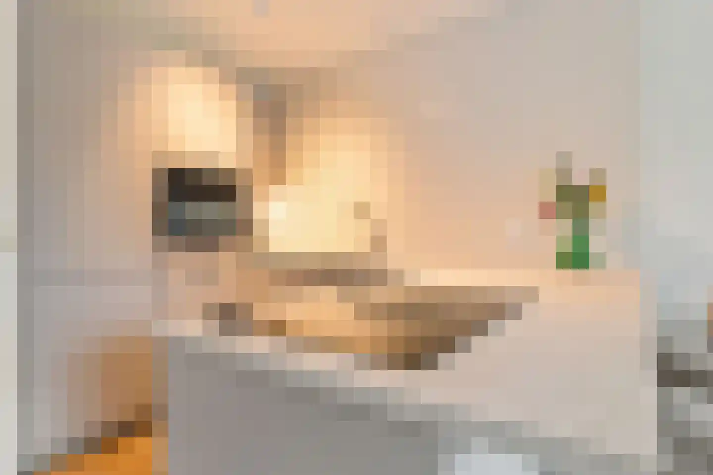 Krommerijn 11 Utrecht thumbnail 14
