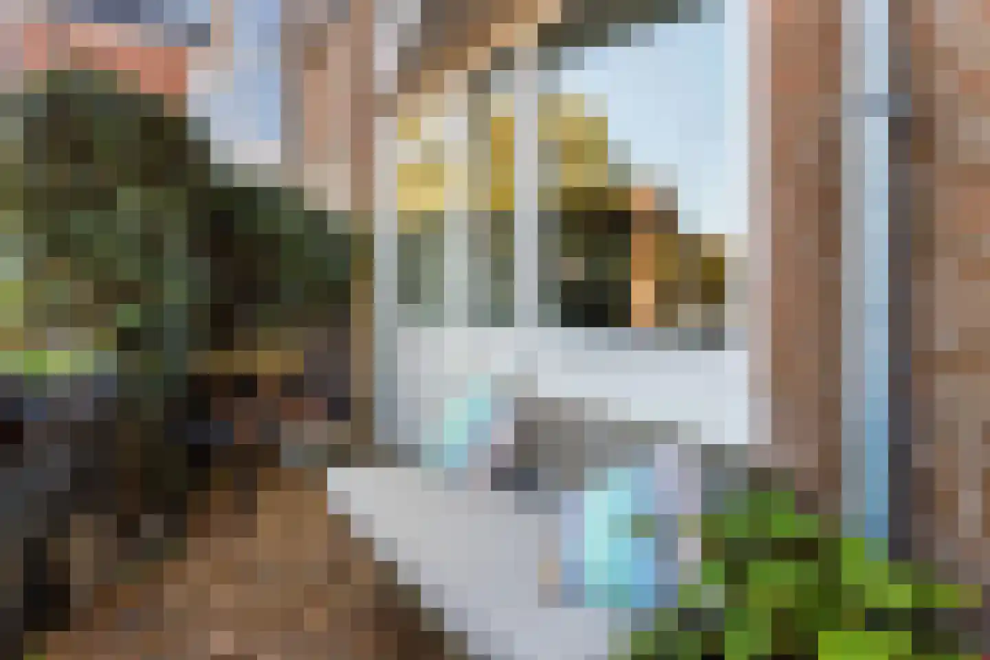 Krommerijn 11 Utrecht thumbnail 4