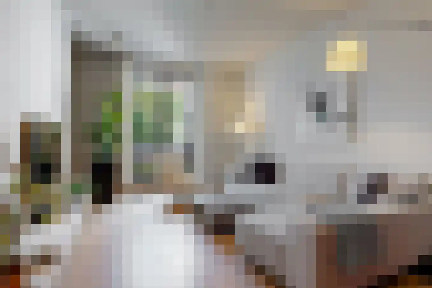 Krommerijn 14 Utrecht thumbnail 15