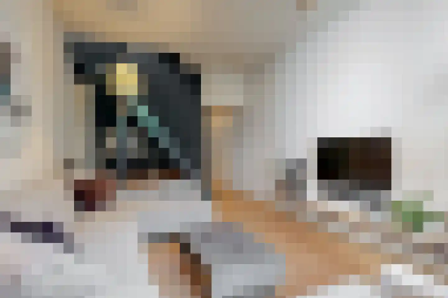 Krommerijn 14 Utrecht thumbnail 17