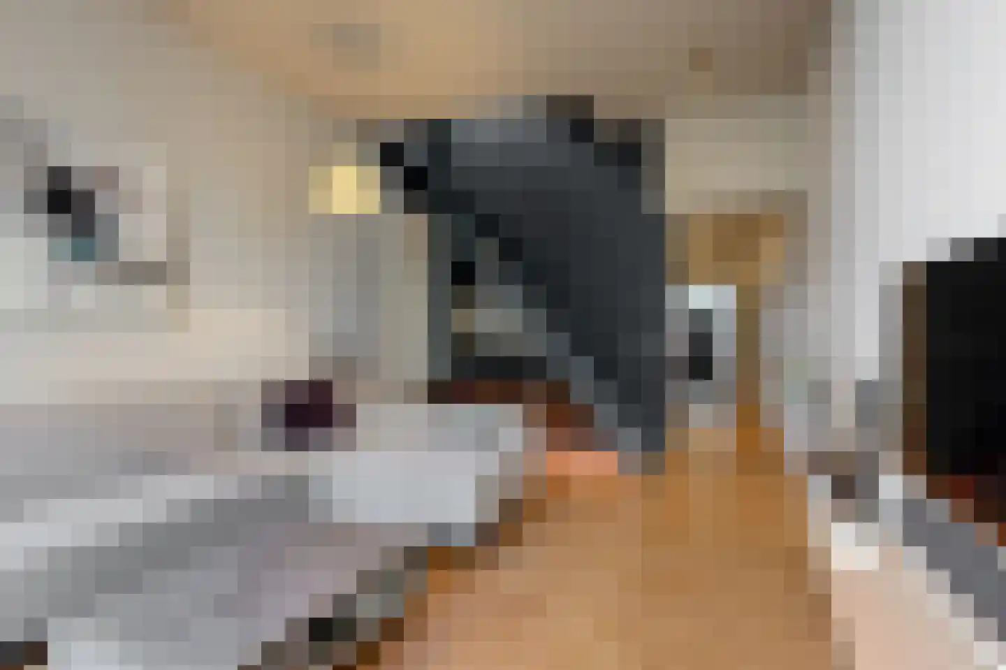 Krommerijn 14 Utrecht thumbnail 19