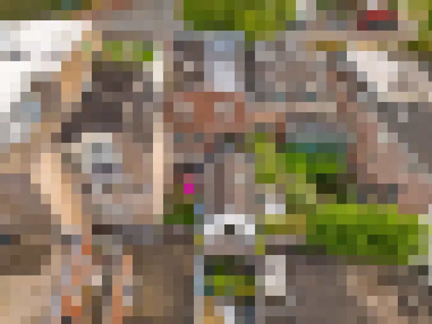 Krommerijn 14 Utrecht thumbnail 37