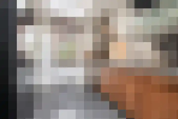 Krommerijnder 1 Wijk bij Duurstede thumbnail 23