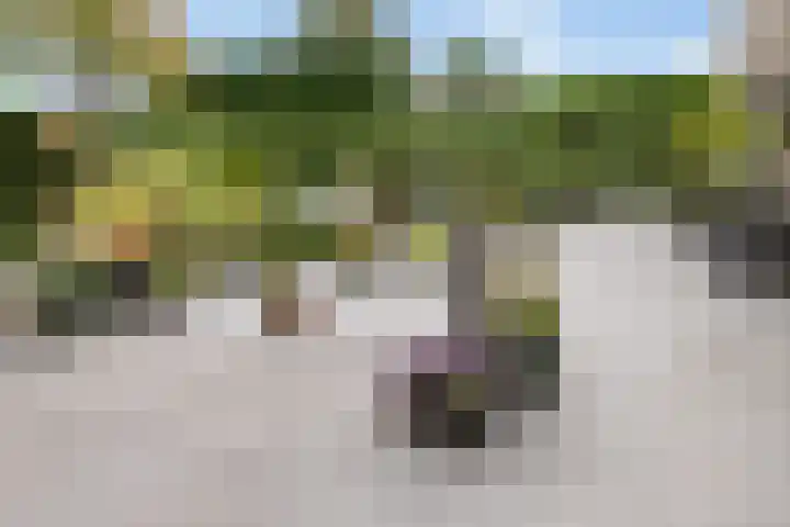 Krommerijnder 1 Wijk bij Duurstede thumbnail 32