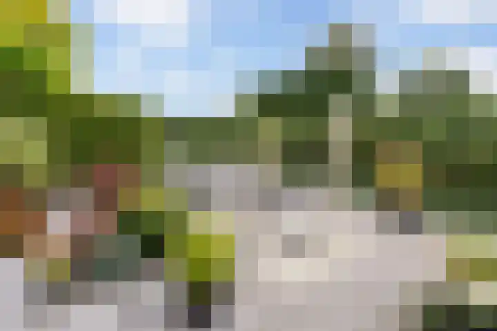 Krommerijnder 1 Wijk bij Duurstede thumbnail 33