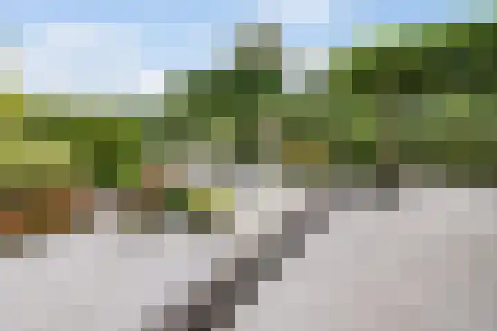 Krommerijnder 1 Wijk bij Duurstede thumbnail 34