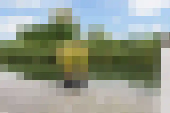Krommerijnder 1 Wijk bij Duurstede thumbnail 35