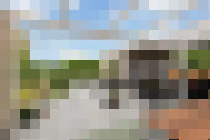 Krommerijnder 1 Wijk bij Duurstede thumbnail 41