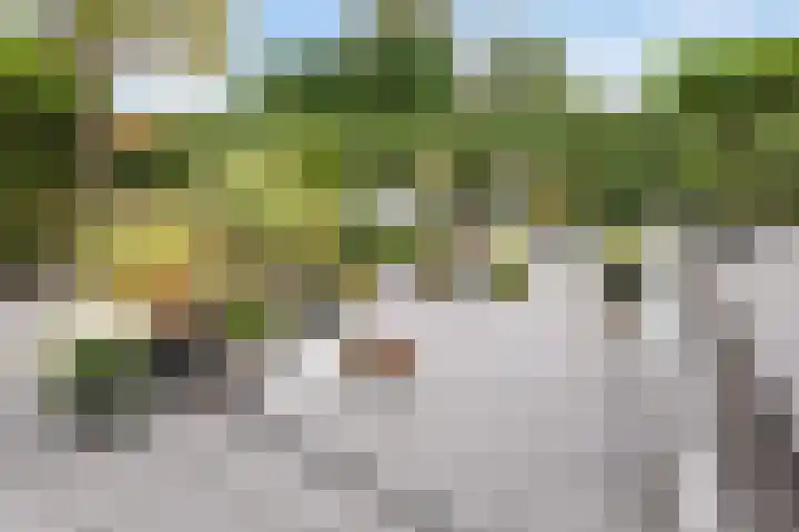 Krommerijnder 1 Wijk bij Duurstede thumbnail 42