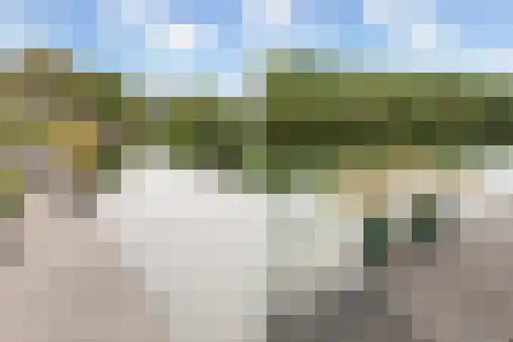 Krommerijnder 1 Wijk bij Duurstede thumbnail 44