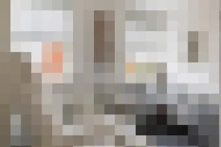 Krommerijnder 1 Wijk bij Duurstede thumbnail 54