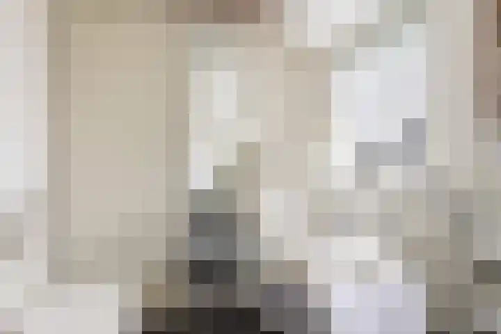 Krommerijnder 1 Wijk bij Duurstede thumbnail 55