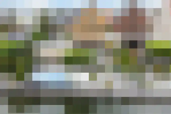 Krommerijnder 1 Wijk bij Duurstede thumbnail 6