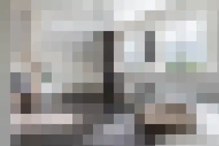 Krommerijnder 1 Wijk bij Duurstede thumbnail 66