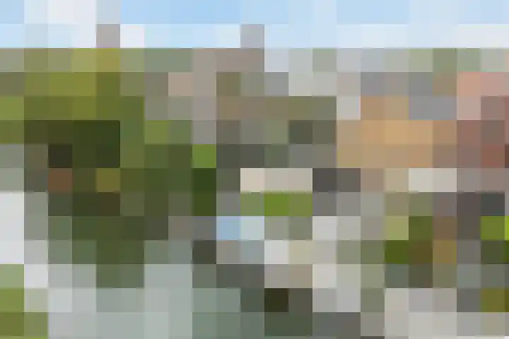 Krommerijnder 1 Wijk bij Duurstede thumbnail 7