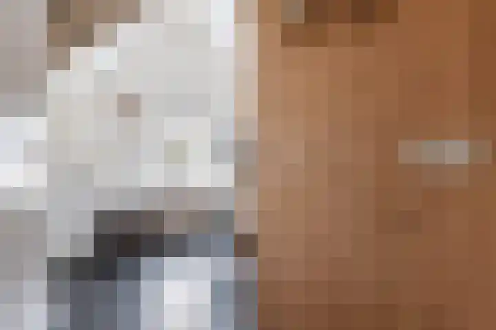 Krommerijnder 1 Wijk bij Duurstede thumbnail 72