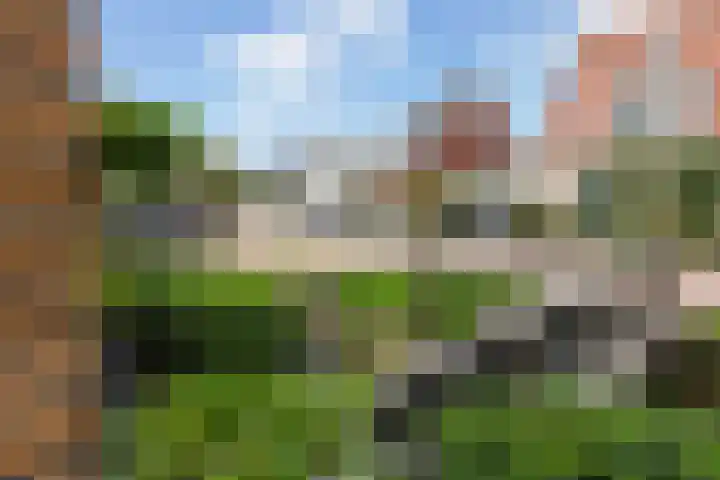 Krommerijnder 1 Wijk bij Duurstede thumbnail 78