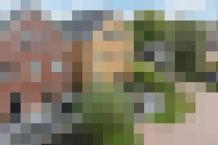 Krommerijnder 1 Wijk bij Duurstede thumbnail 85