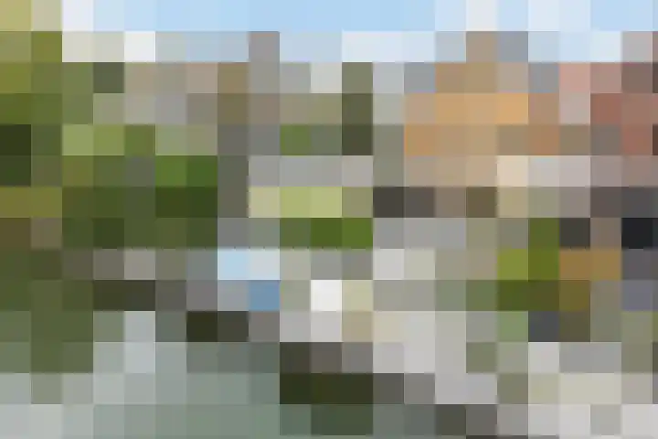 Krommerijnder 1 Wijk bij Duurstede thumbnail 88