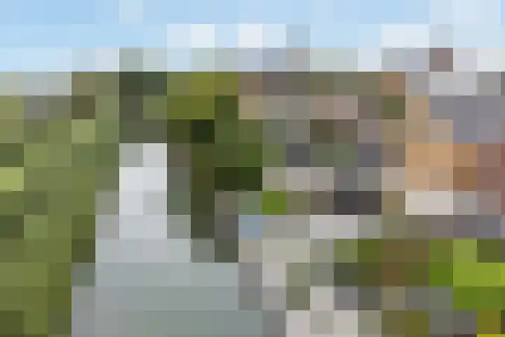 Krommerijnder 1 Wijk bij Duurstede thumbnail 89
