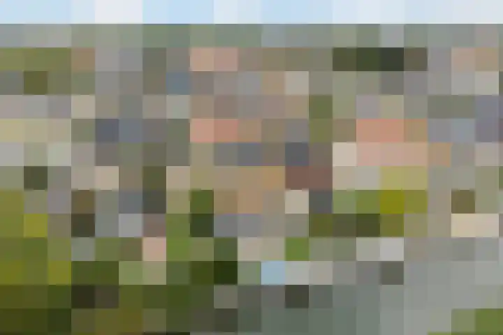Krommerijnder 1 Wijk bij Duurstede thumbnail 90