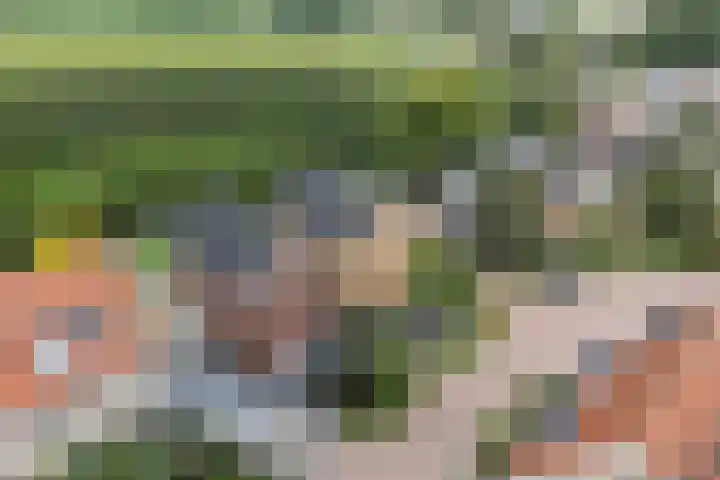 Krommerijnder 1 Wijk bij Duurstede thumbnail 91