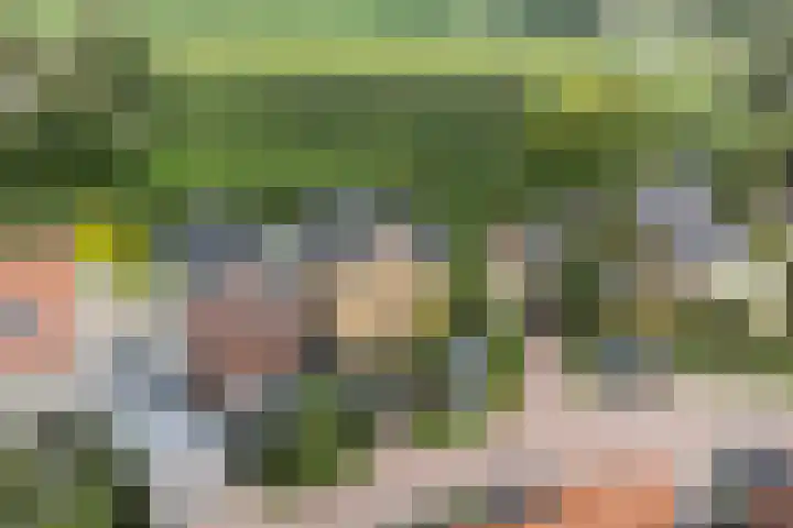 Krommerijnder 1 Wijk bij Duurstede thumbnail 92