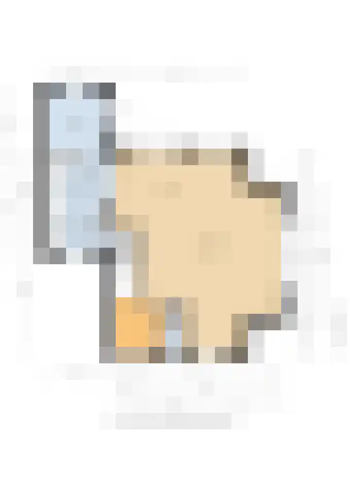 Krommerijnder 1 Wijk bij Duurstede thumbnail 95