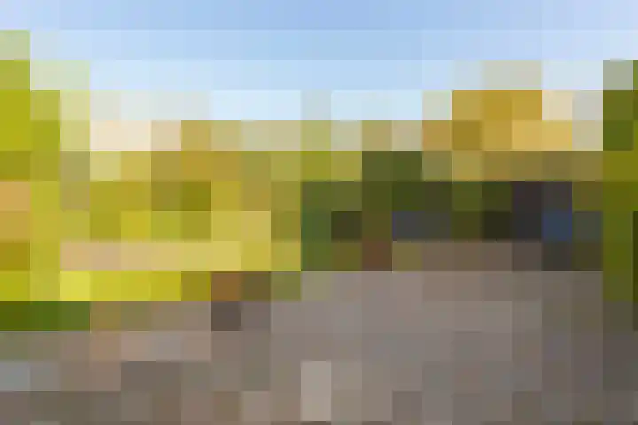 Krommerijnder 10 Wijk bij Duurstede thumbnail 22