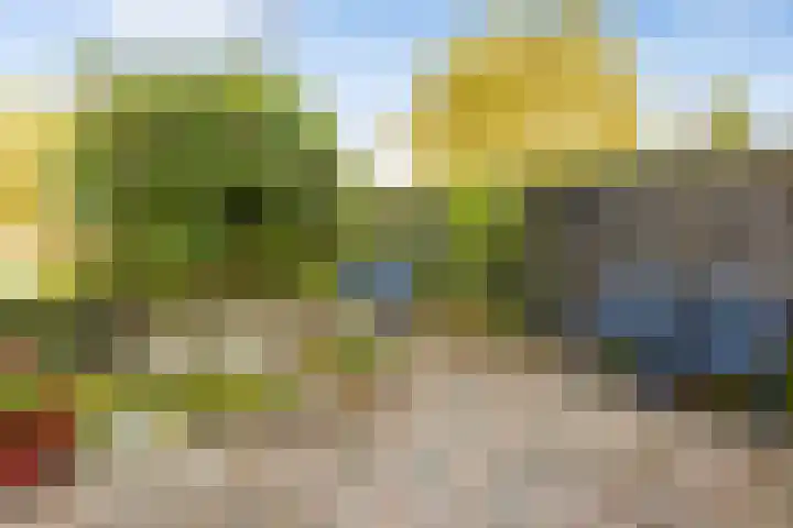 Krommerijnder 10 Wijk bij Duurstede thumbnail 24