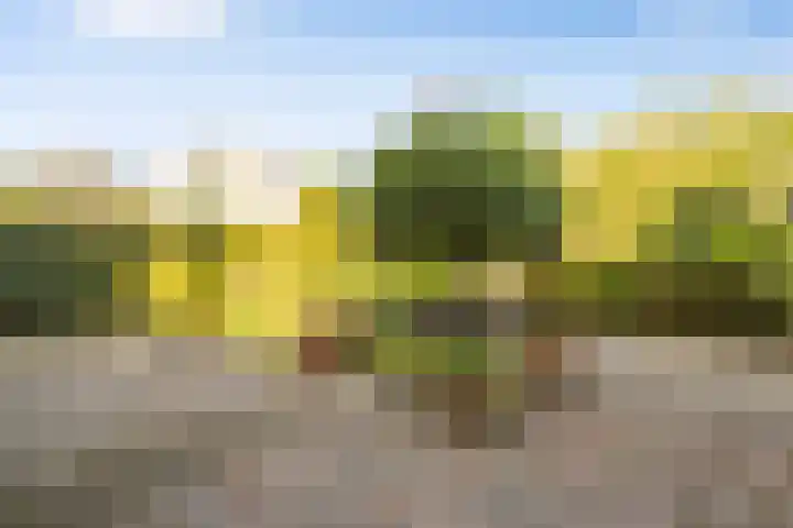 Krommerijnder 10 Wijk bij Duurstede thumbnail 25