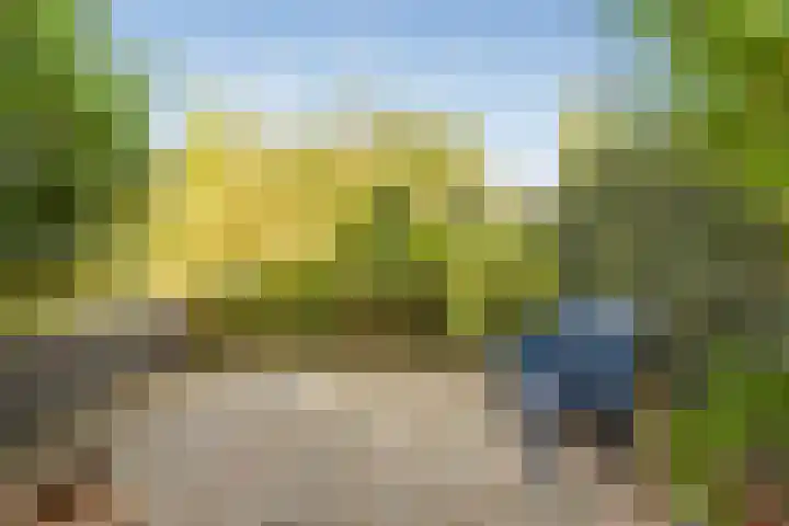 Krommerijnder 10 Wijk bij Duurstede thumbnail 26