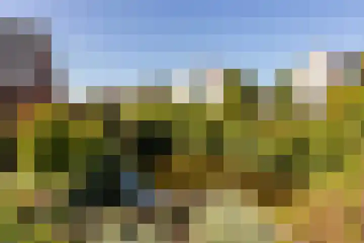 Krommerijnder 10 Wijk bij Duurstede thumbnail 30