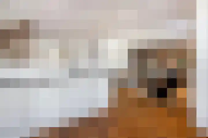 Krommerijnder 10 Wijk bij Duurstede thumbnail 4