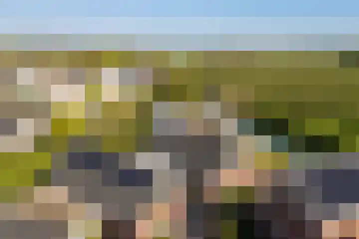 Krommerijnder 10 Wijk bij Duurstede thumbnail 41